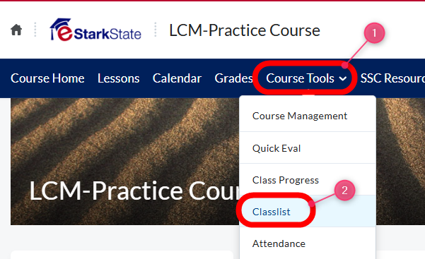 Choose Course Tools > Classlist