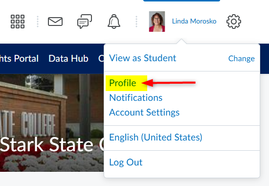 Image showing the dropdown menu under the user's name. Profile is highlighted.