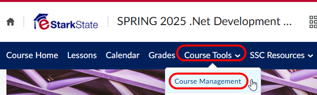Course Tools > Course Management